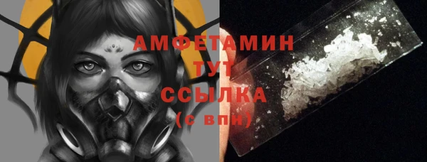 хмурый Алзамай