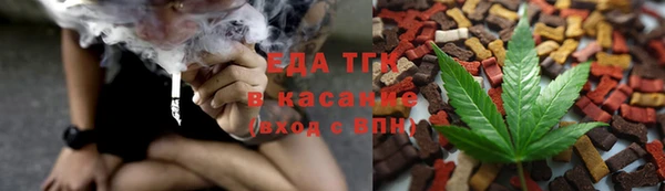 хмурый Алзамай