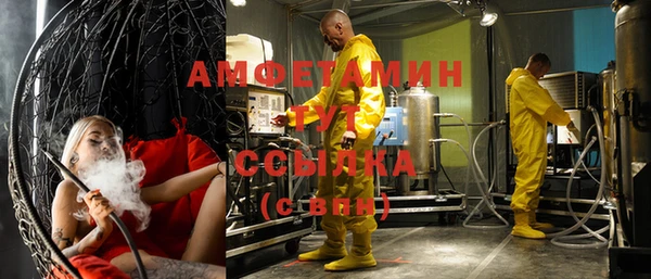 хмурый Алзамай