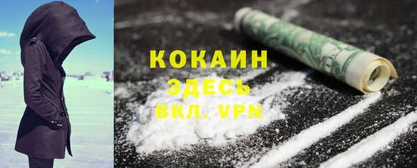 хмурый Алзамай