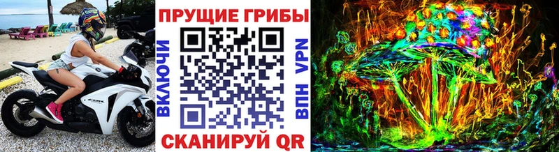 Псилоцибиновые грибы MAGIC MUSHROOMS  OMG ТОР  Нижний Тагил 
