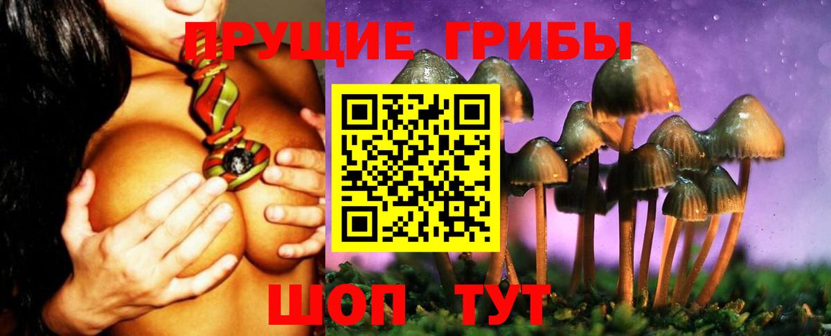 Галлюциногенные грибы Psilocybe  Вход с VPN  Нижний Тагил 