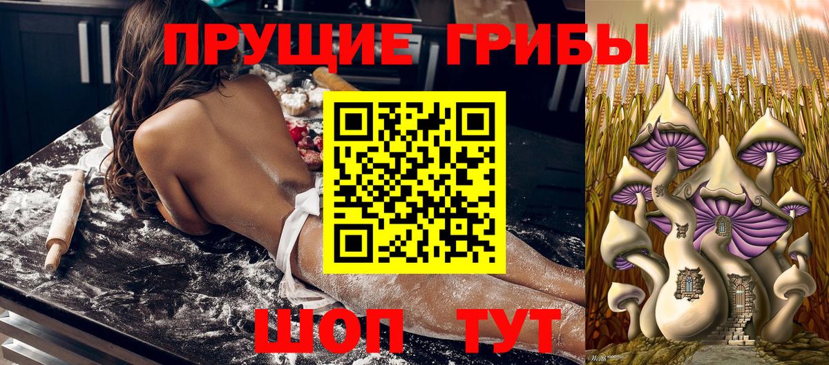 Галлюциногенные грибы ЛСД Нижний Тагил